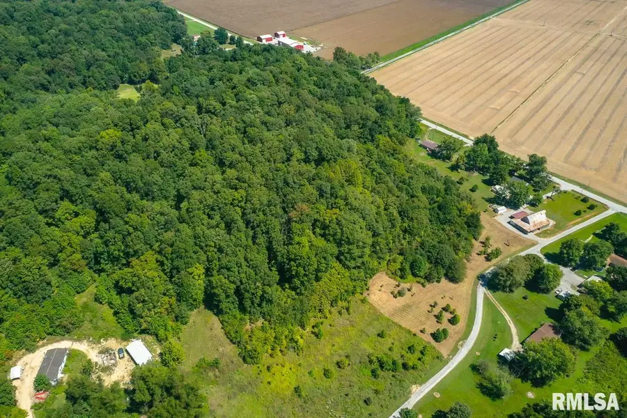 000 Pleasant Valley Lane, Tamms, IL 62988 - #2