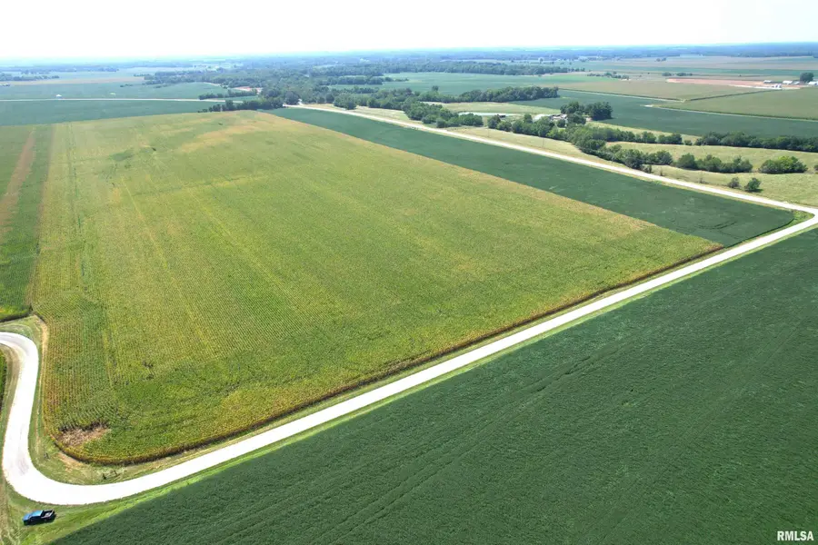 Preston Hollow Road, Murrayville, IL 62668 - #3