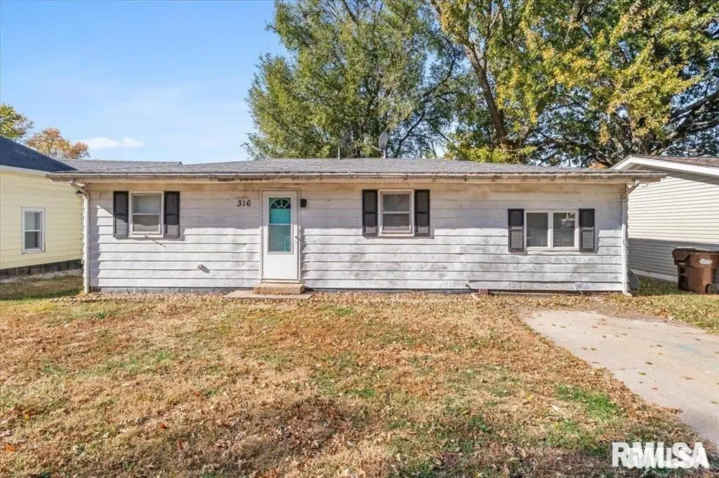 316 S Curtis Street, Edinburg, IL 62531 - #1
