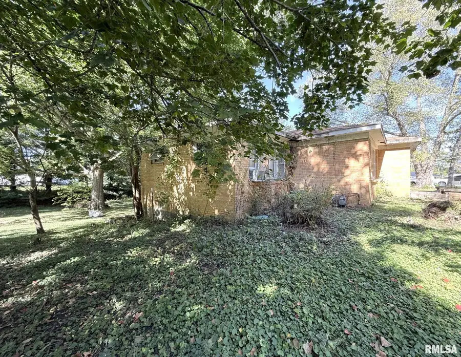 606 Cherry Street, Abingdon, IL 61410 - #3