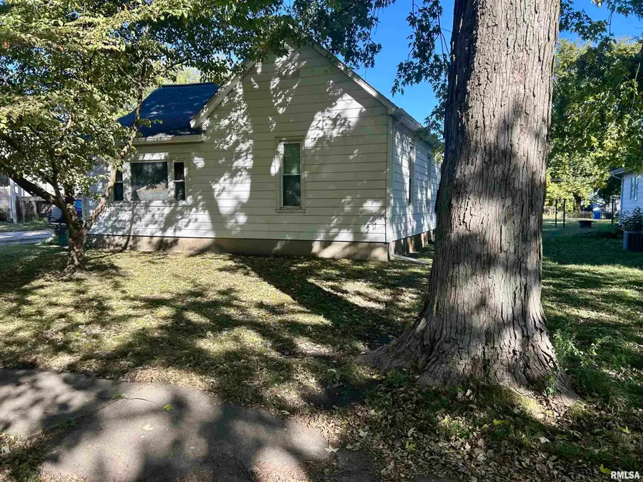 314 E Washington Street, Edinburg, IL 62531 - #2