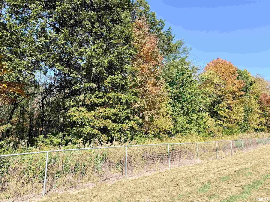 16424 Kennedy Road, Auburn, IL 62615 - #3