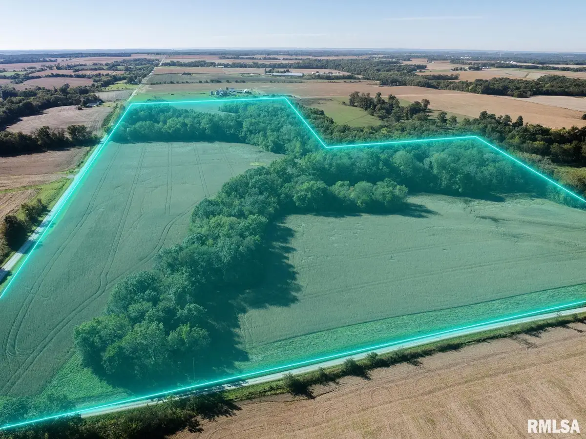 70.25 acres Section 25 Burton Twp, Liberty, IL 62347 - #1