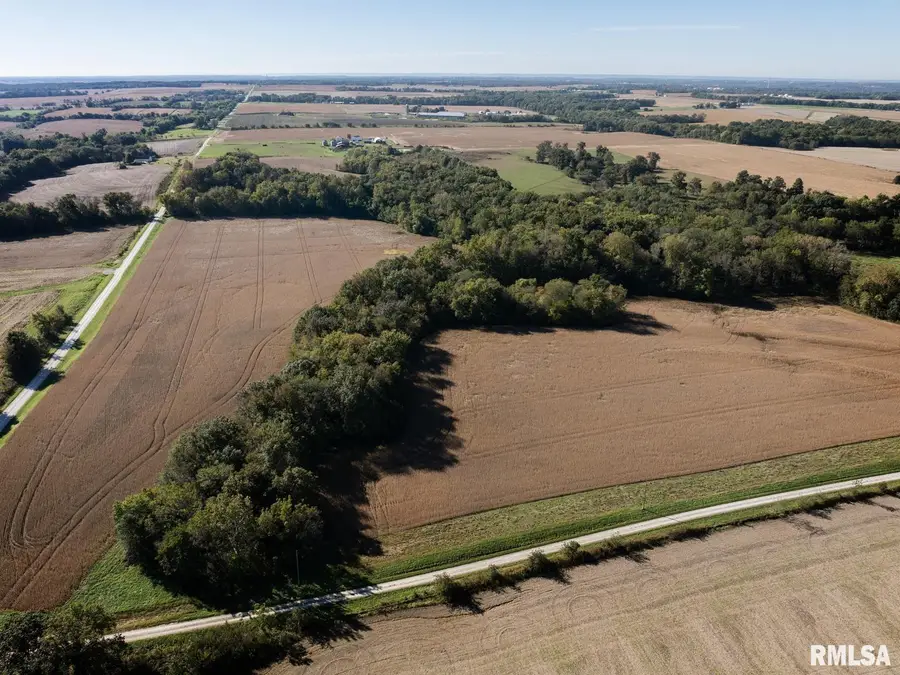 70.25 acres Section 25 Burton Twp, Liberty, IL 62347 - #2