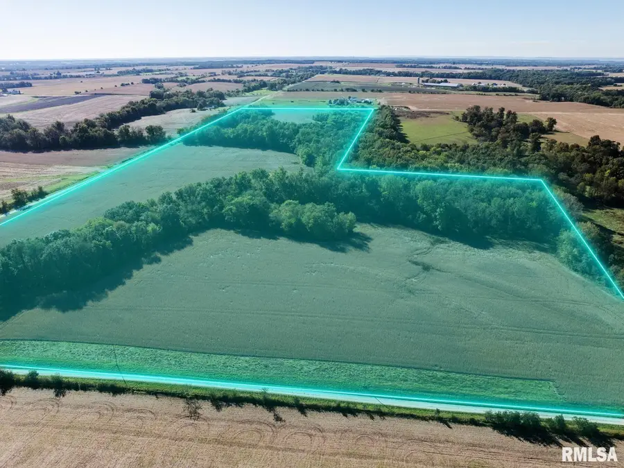 70.25 acres Section 25 Burton Twp, Liberty, IL 62347 - #3