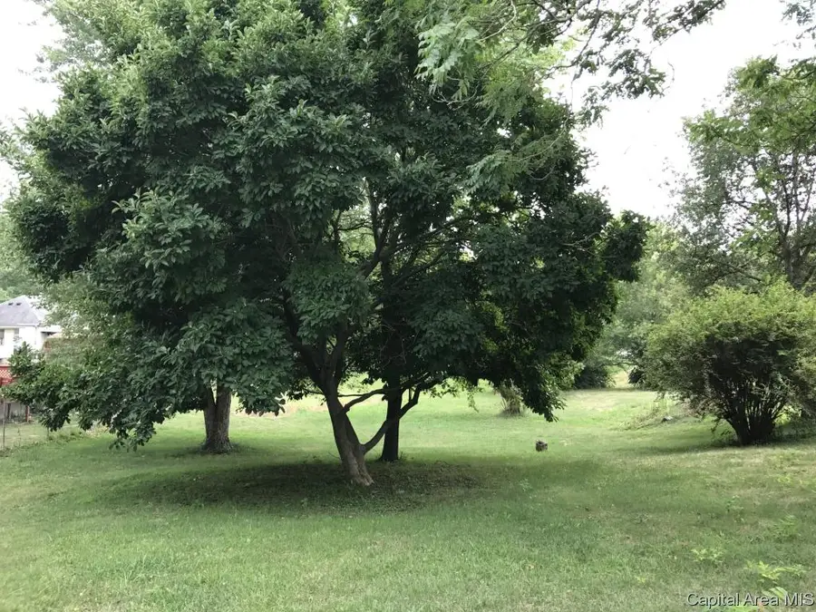 N Lincoln, Riverton, IL 62561 - Image #2