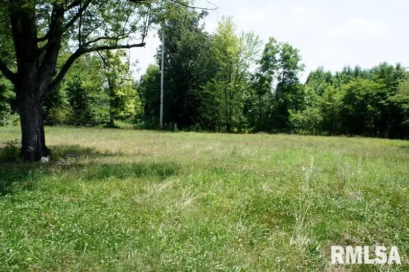 2134 E 5th Street, Metropolis, IL 62960 - Image #2