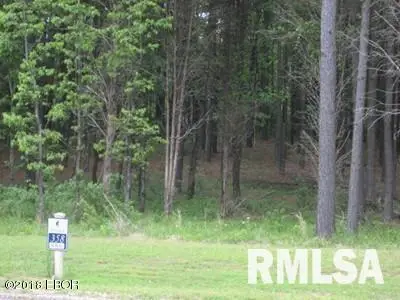 Lot 358 Parrish Ridge Lane, Goreville, IL 62939