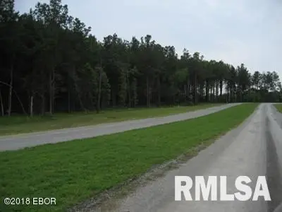 Lot 358 Parrish Ridge Lane, Goreville, IL 62939 - Image #2