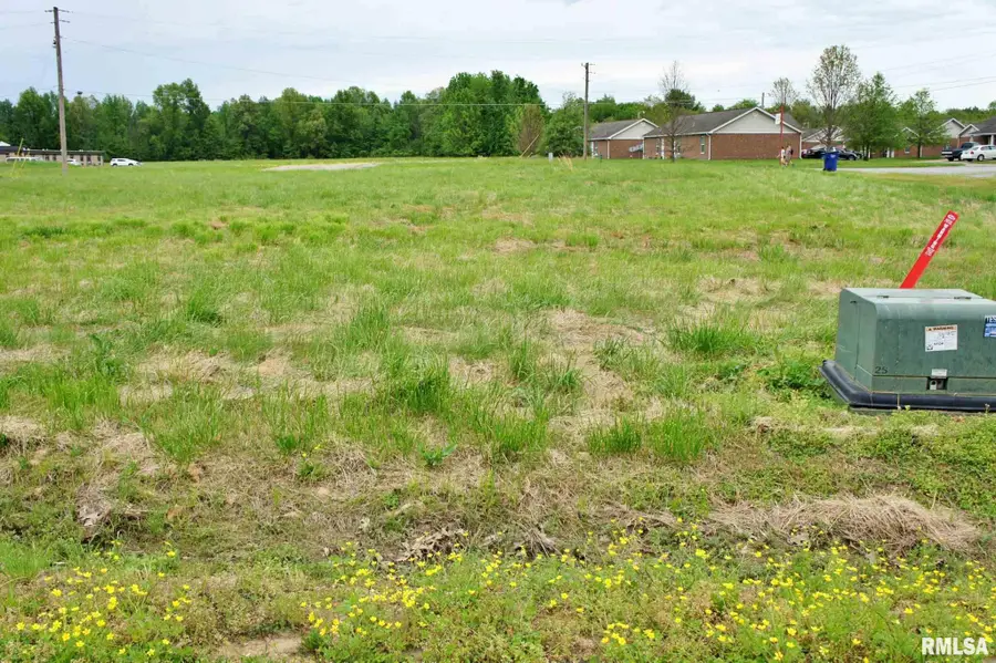 000 Rushing Drive, Metropolis, IL 62960 - Image #3