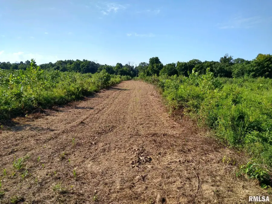 39 Bushwack Road, Golconda, IL 62938 - Image #2