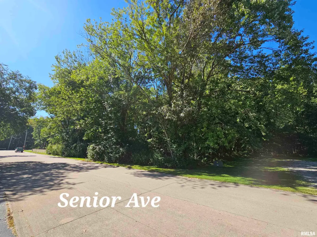 TBD Senior Avenue, Vienna, IL 62995 - Image #1