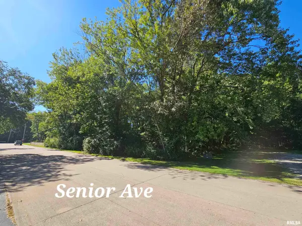 TBD Senior Avenue, Vienna, IL 62995