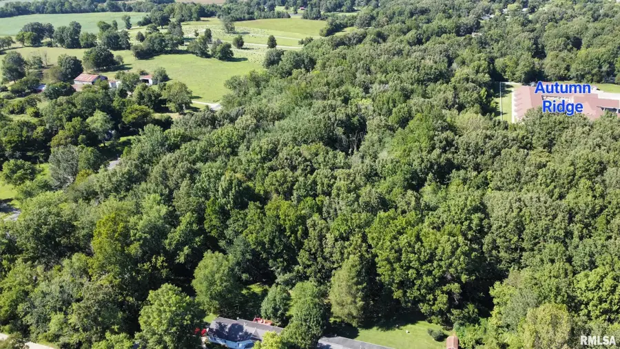 TBD Galeener Street, Vienna, IL 62995 - Image #3