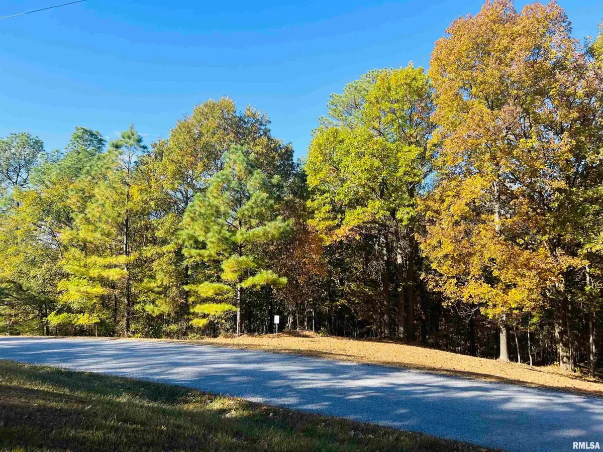 Lot 41 Luxor Landing Lane, Goreville, IL 62939 - Image #1