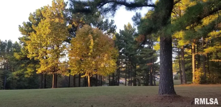 Lot 41 Luxor Landing Lane, Goreville, IL 62939 - Image #3