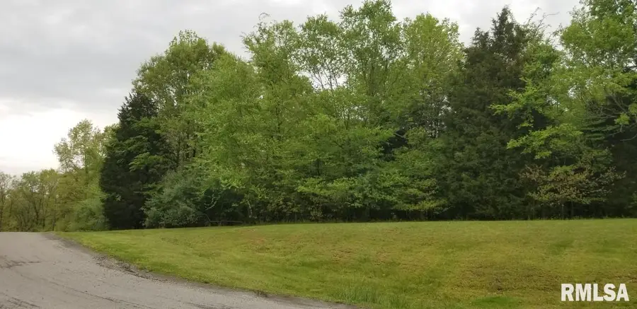 Lot 82 & 83 Saluki Way, Goreville, IL 62939 - Image #3