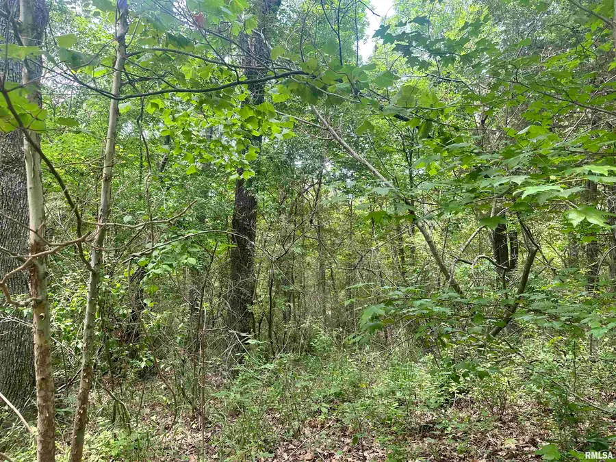 000 Knob Creek Road, Carbondale, IL 62903 - Image #2