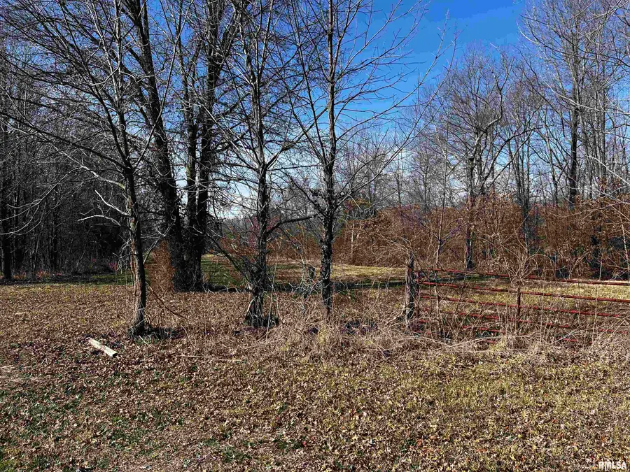 705 E Everett Street, Marion, IL 62959 - Image #3