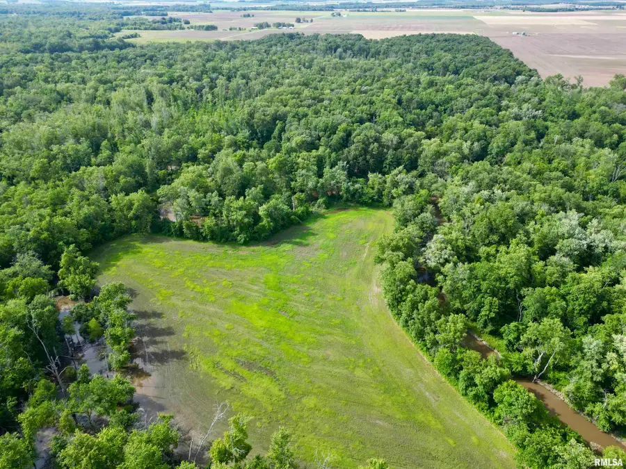 000 Sassafras Road, Hoyleton, IL 62803 - Image #3