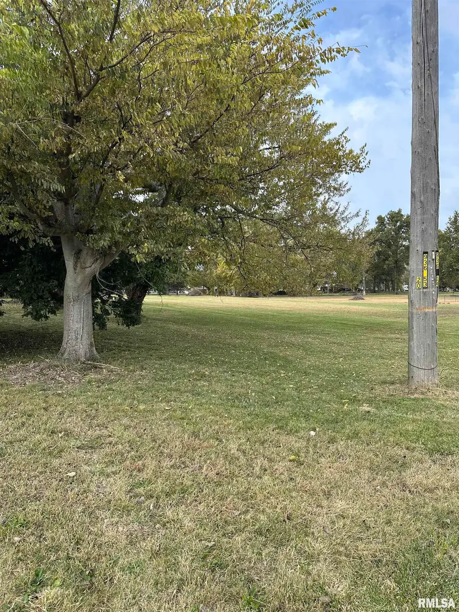 1223 S Washington Street, Du Quoin, IL 62832 - Image #3