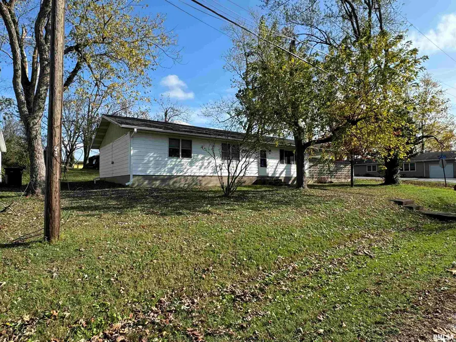 106 S 10th Street, Vienna, IL 62995-0000 - Image #2
