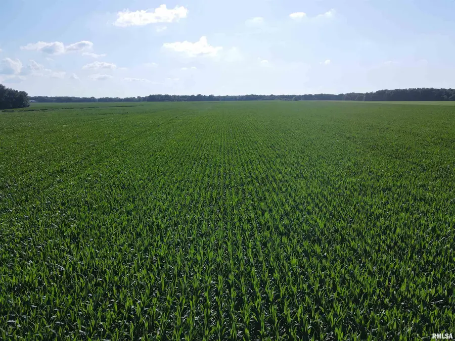 000 E County Road 900 Road, Montrose, IL 62445 - Image #2