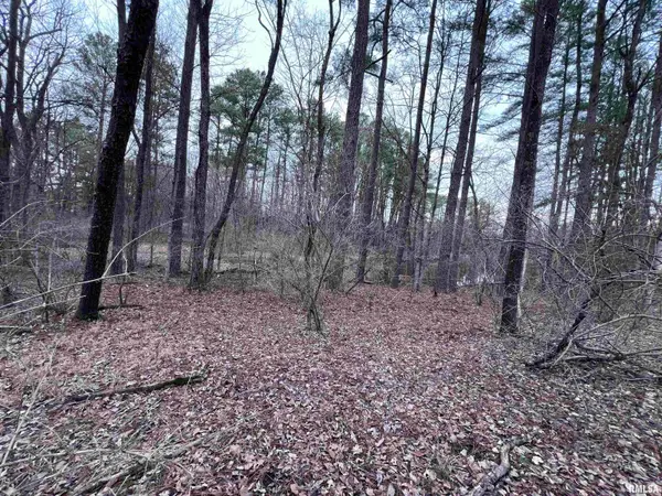 449 Pine Lane, Murphysboro, IL 62966