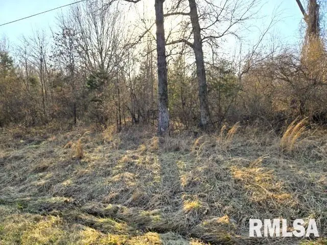 0000 N Stone Lane, Mount Vernon, IL 62864 - Image #3