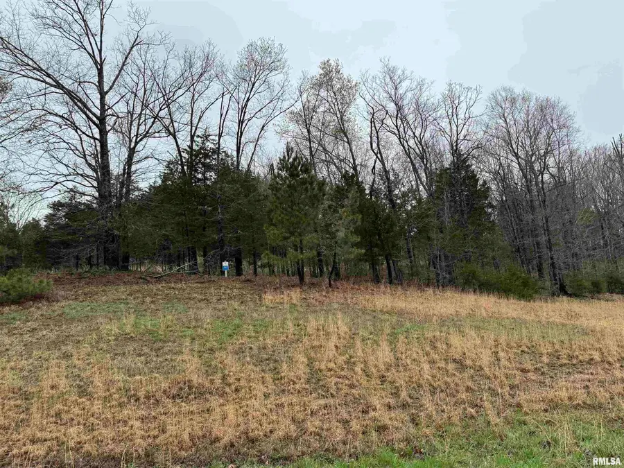 LOT 365&366 Clifty Lane, Goreville, IL 62939 - Image #3