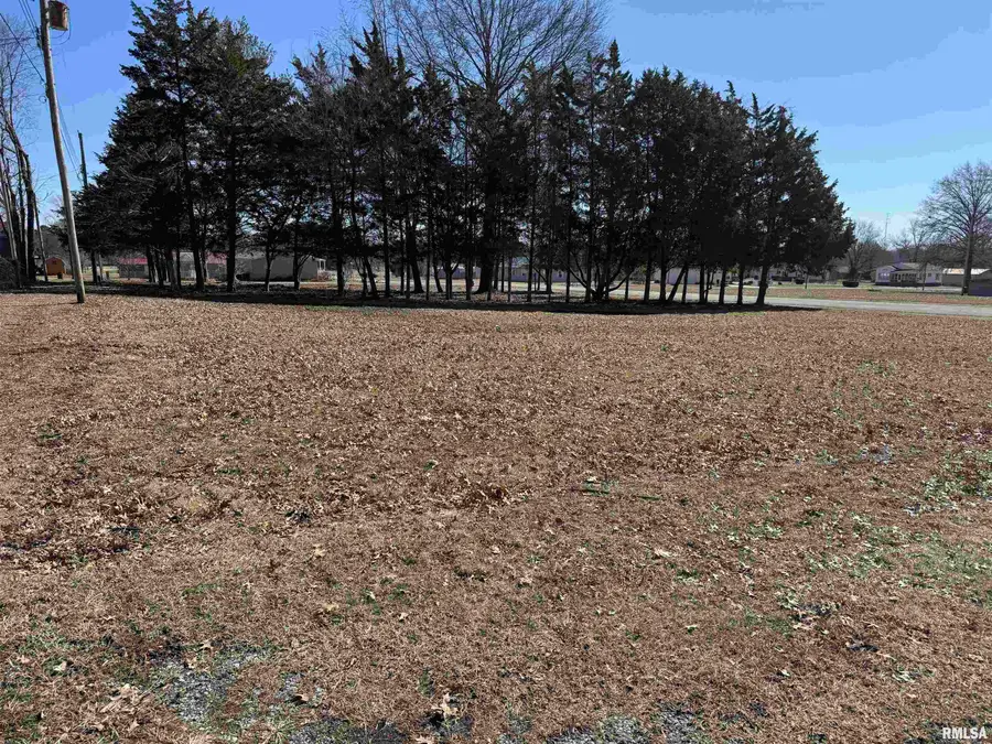 0000 Main Street, Valier, IL 62891 - Image #3