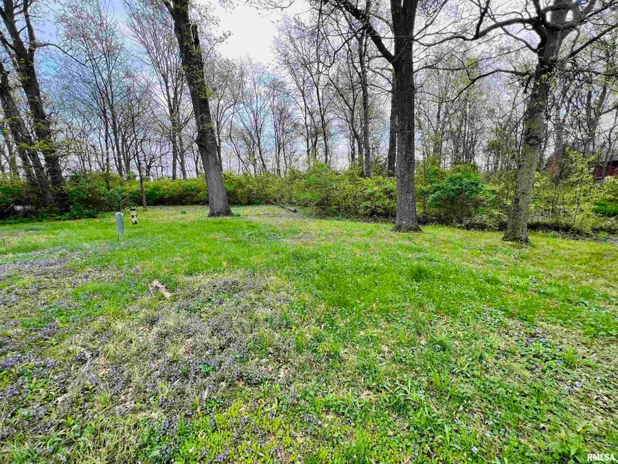 13162 N Dayton Lane, Woodlawn, IL 62898 - Image #2