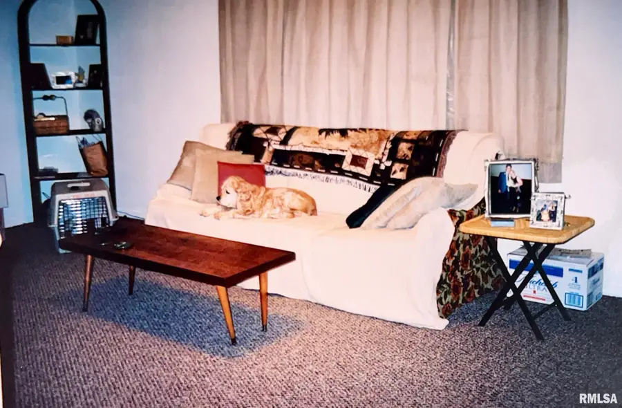 355 Chestnut Street, Alto Pass, IL 62905 - Image #3