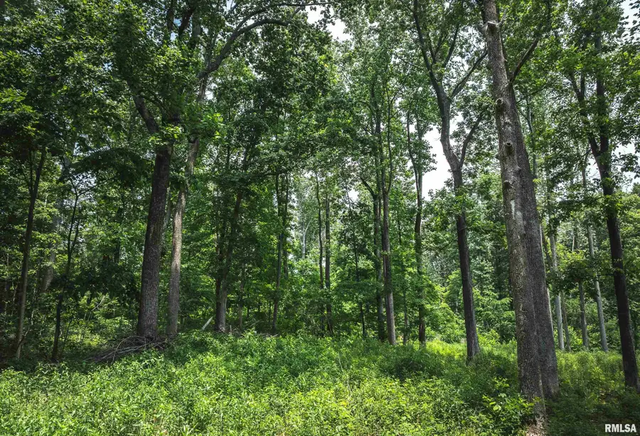 3485 Coyle Lane, Equality, IL 62934 - Image #3