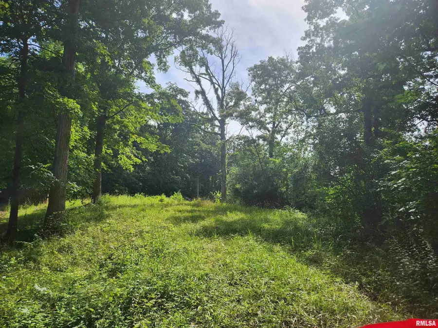 12326 N Ring Lane, Casner, IL 62894 - Image #2