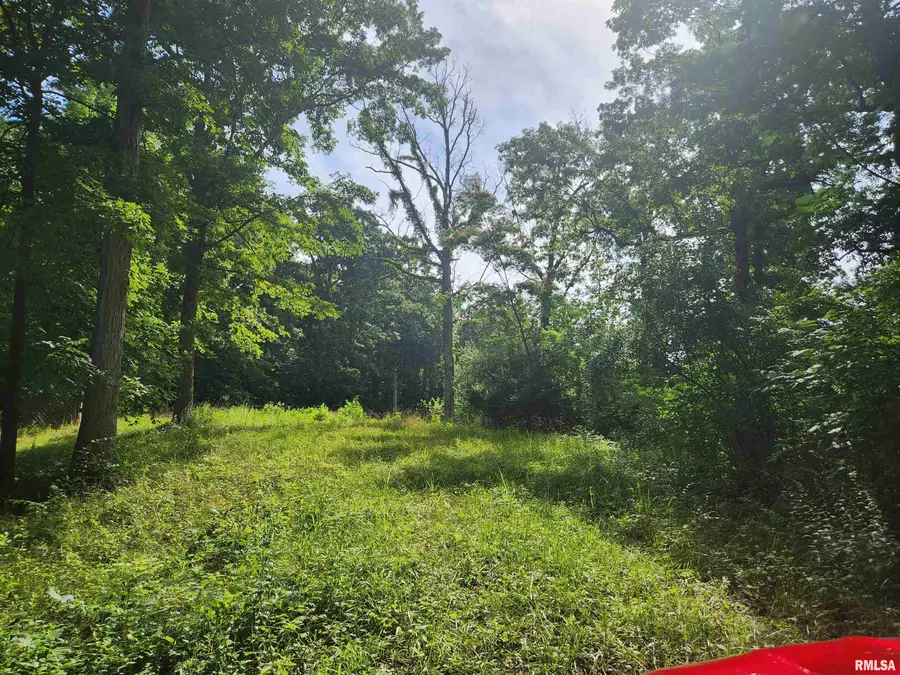 12326 N Ring Lane, Casner, IL 62894 - Image #3