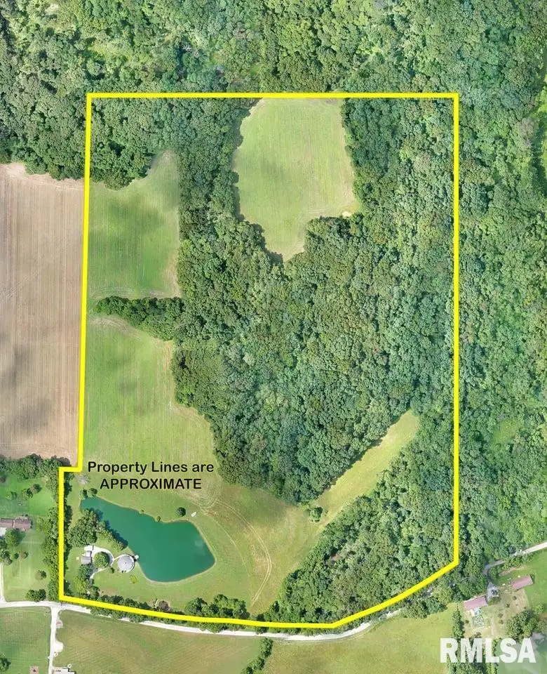 14290 E Windsong Road, Mount Vernon, IL 62864 - Image #3