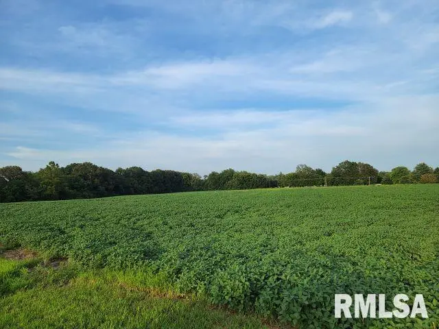 000 Main Street, De Soto Township, IL 62924 - Image #1