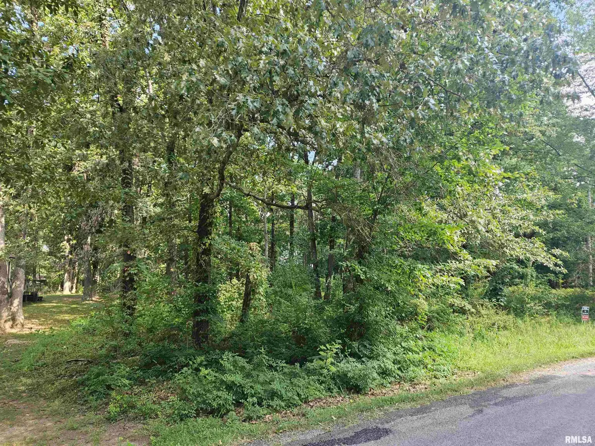 0000 White Birch Court, Benton, IL 62812 - Image #1