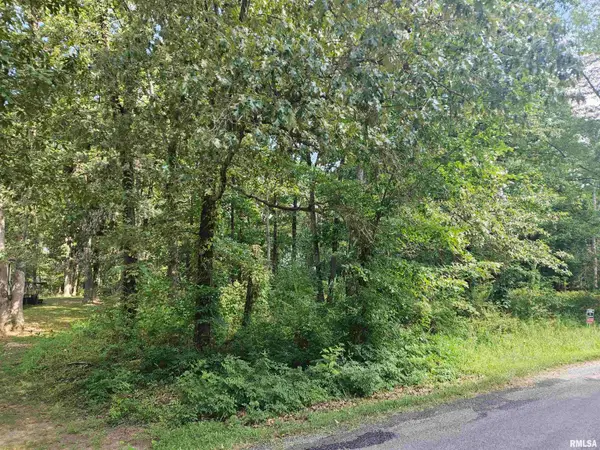 0000 White Birch Court, Benton, IL 62812