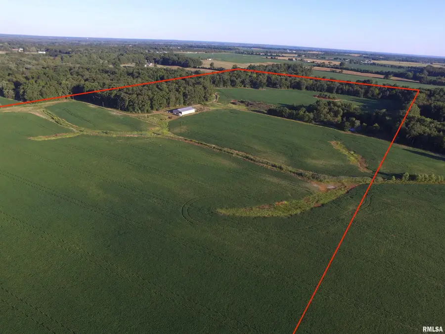 9647 E Barat Road, Mount Vernon, IL 62864 - Image #3