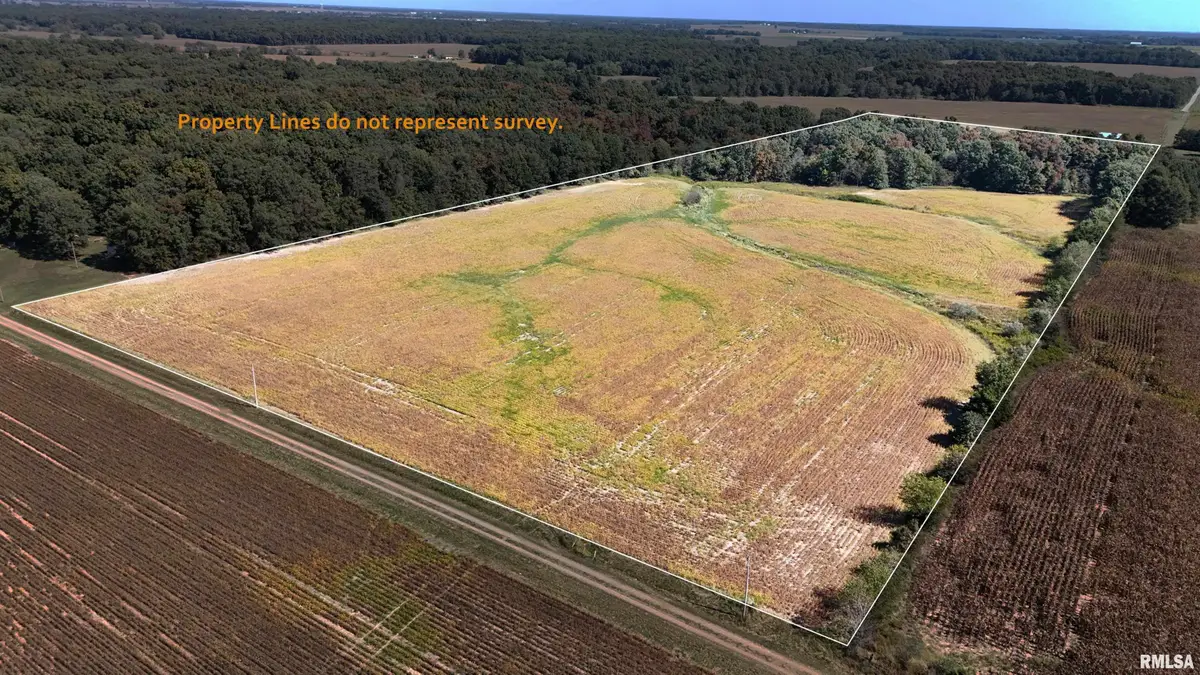 000 E Tallowtree Drive, Xenia, IL 62899 - Image #1