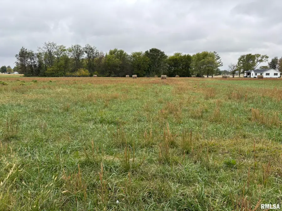 1200 Block Roddy Road, Salem, IL 62881 - Image #2