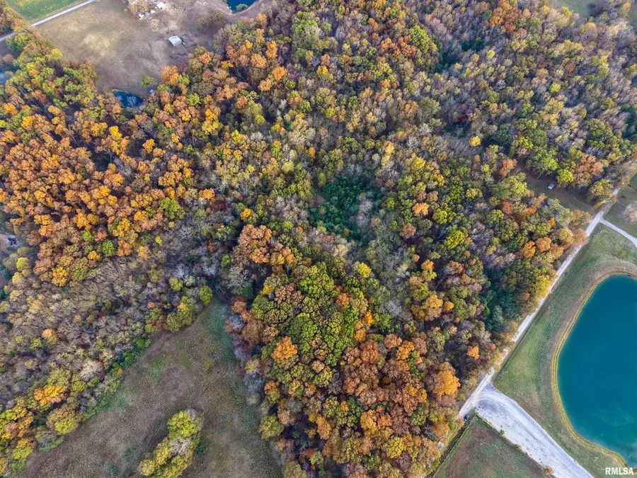 18492 Moonbeam Lane, Mount Vernon, IL 62864 - Image #3