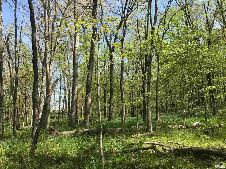 000 N 1900th Street, Dieterich, IL 62424 - Image #3