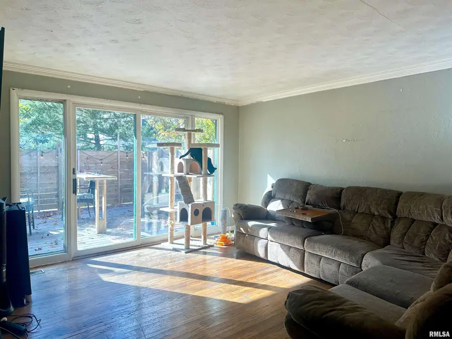 1212 W Schwartz Street, Carbondale, IL 62901 - Image #2