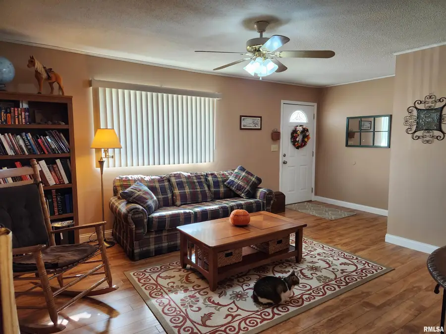 15766 E Tilton Road, Ina, IL 62846 - Image #3
