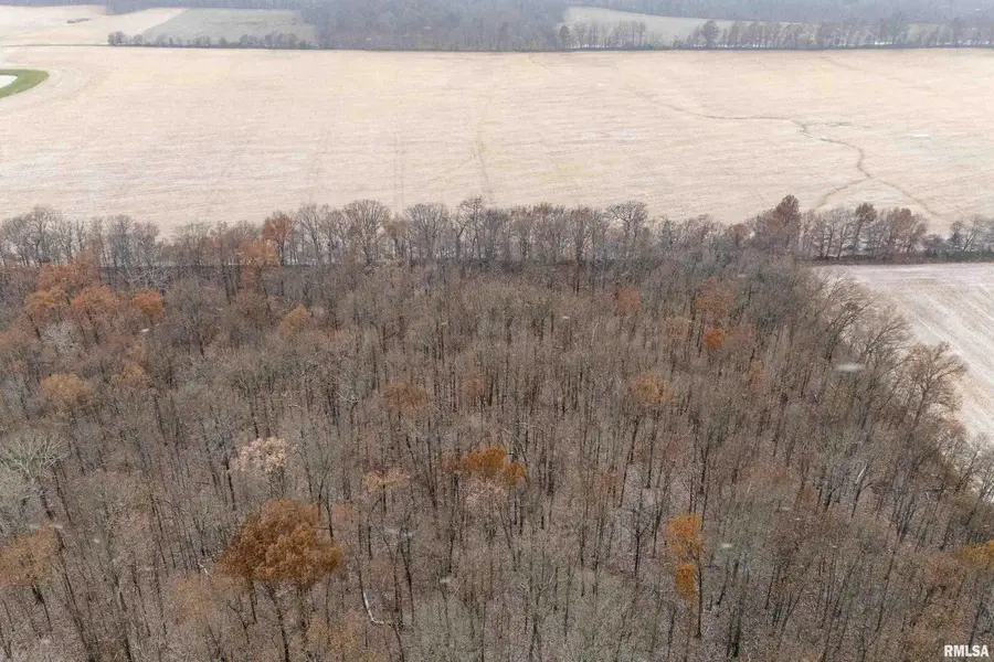 0000 Sparrow Lane, Mount Vernon, IL 62864 - Image #3