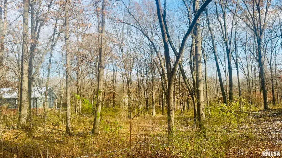 000 White Birch Court, Benton, IL 62812 - Image #3