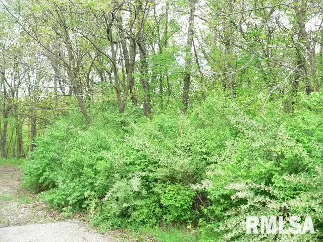 364 Seminole Blacktop, Sparland, IL 61565 - Image #1